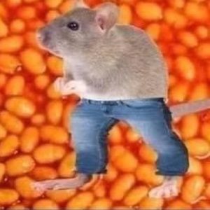 Meet your Posher, Abbey